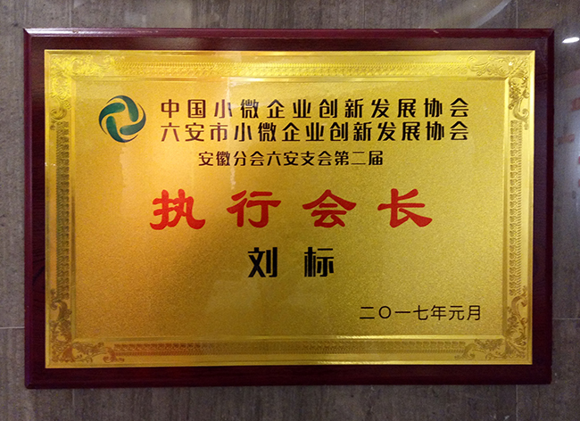 六安標(biāo)榜裝飾-執(zhí)行會長